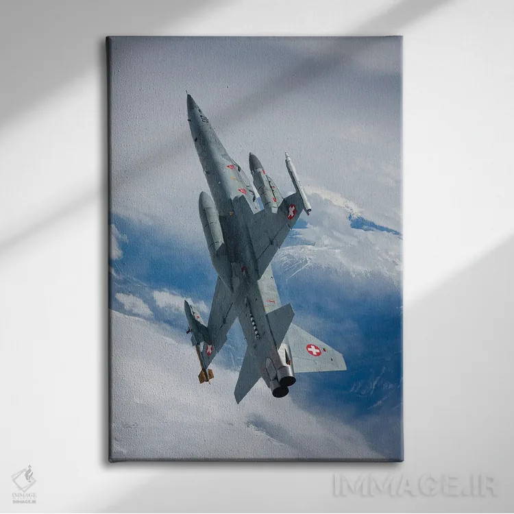 تابلو دکوراتیو جنگنده F-5F تایگر II نیروی هوایی سوئیس در حال پرواز بر… اثر دیرک یان د ریدر - نمای روبهرو روی دیوار