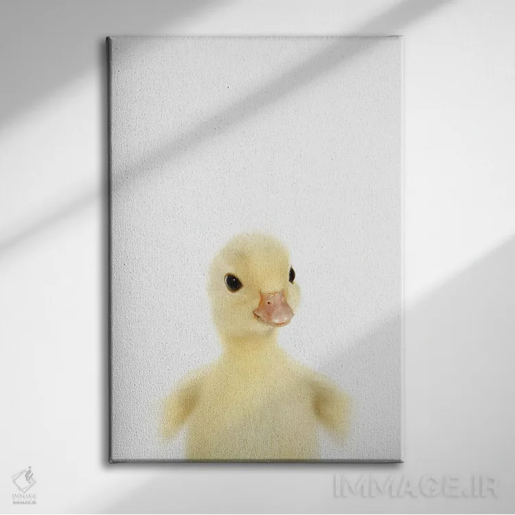 تابلو دکوراتیو جوجه اردک اثر چاپ های تاینی ترژر - نمای روبهرو روی دیوار