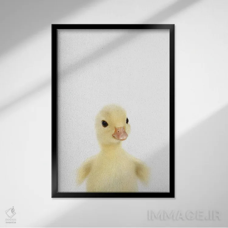 تابلو دکوراتیو جوجه اردک اثر چاپ های تاینی ترژر - نمای قابدار مشکی