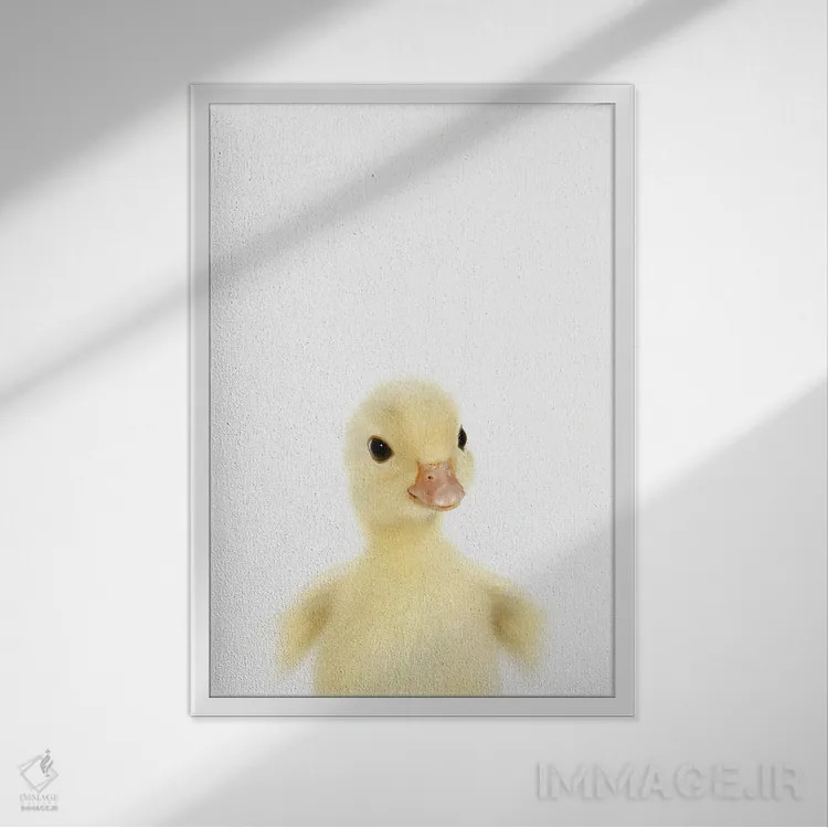 تابلو دکوراتیو جوجه اردک اثر چاپ های تاینی ترژر - نمای قابدار سفید