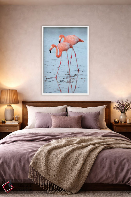 تابلو دکوراتیو Galapagos Islands, Ecuador,جفت فلامینگو بزرگ در حال آب تنی، ج… اثر تویی دروی - D5W
