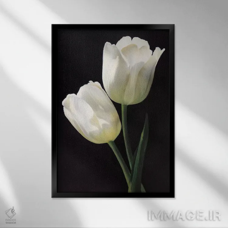 تابلو دکوراتیو لاله های سفید اثر آندریا تریولی - نمای قابدار مشکی