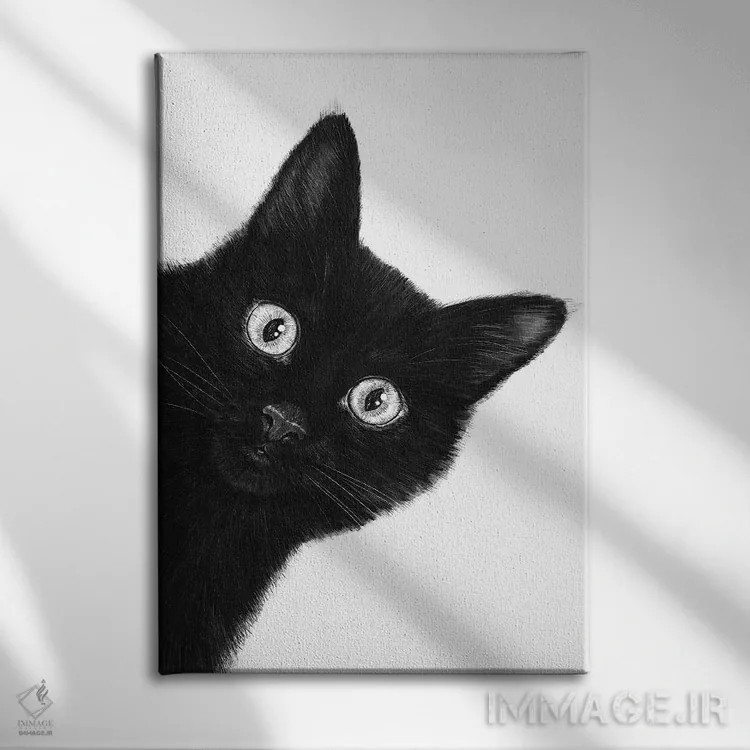 تابلو دکوراتیو گربه سیاه اثر والریا کورنکوا - نمای روبهرو روی دیوار