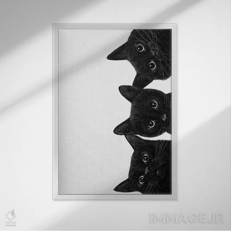 تابلو دکوراتیو سه گربه سیاه اثر والریا کورنکوا - نمای قابدار سفید