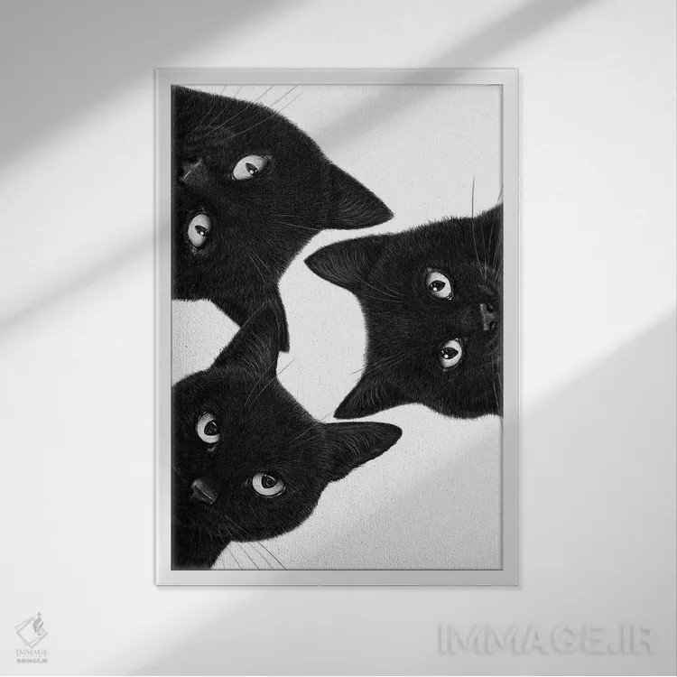 تابلو دکوراتیو سه گربه سیاه در یک دایره اثر والریا کورنکوا - نمای قابدار سفید
