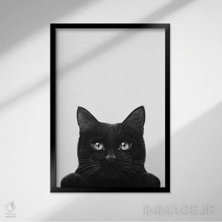 تابلو دکوراتیو گربه سیاه کنجکاو با پنجه ها اثر والریا کورنکوا - نمای قابدار مشکی
