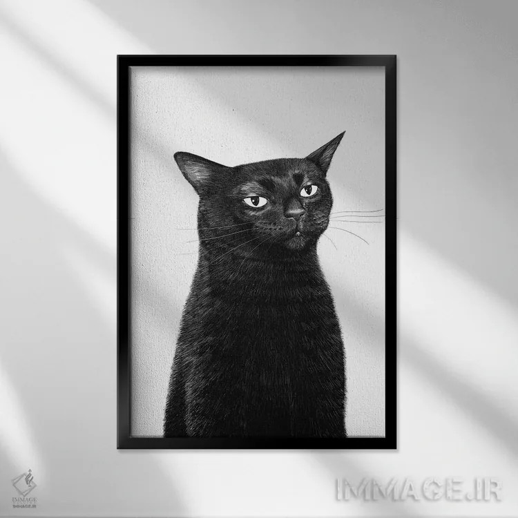 تابلو دکوراتیو گربه ای که به نقطه ای خیره شده اثر والریا کورنکوا - نمای قابدار مشکی