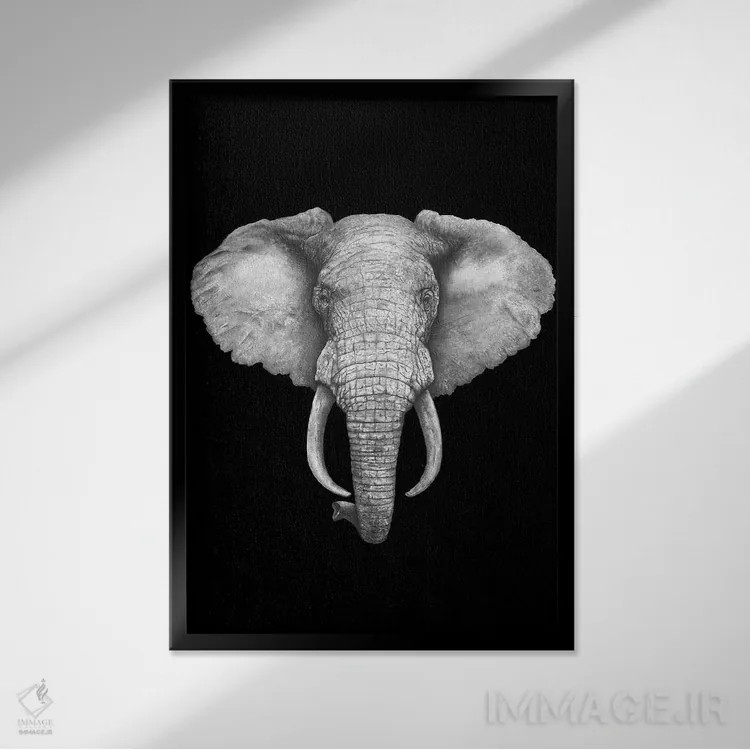 تابلو دکوراتیو فیل روی زمینه سیاه اثر والریا کورنکوا - نمای قابدار مشکی
