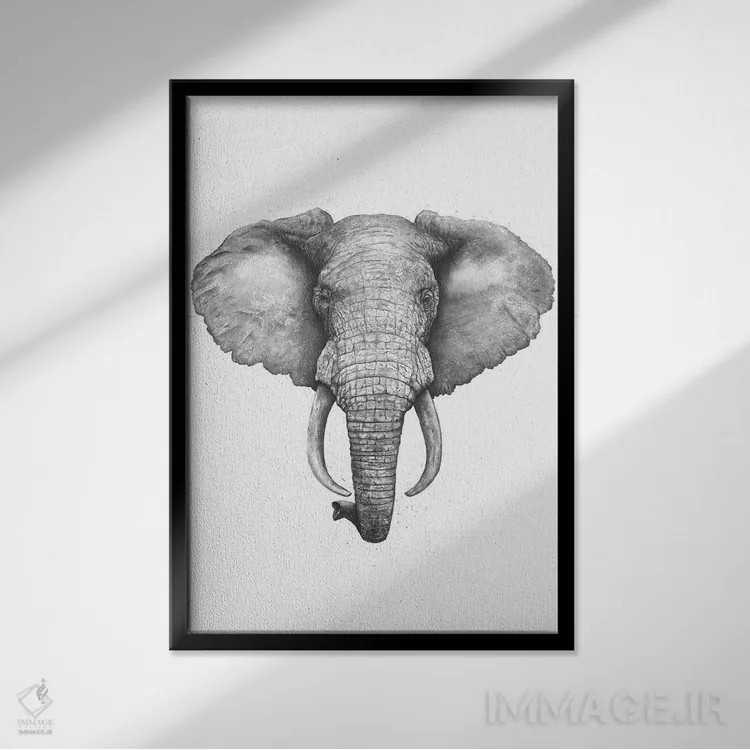 تابلو دکوراتیو فیل اثر والریا کورنکوا - نمای قابدار مشکی