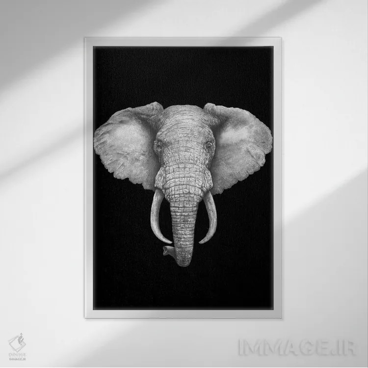 تابلو دکوراتیو فیل روی زمینه سیاه اثر والریا کورنکوا - نمای قابدار سفید