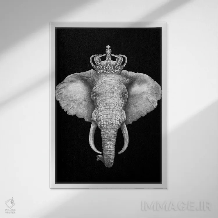تابلو دکوراتیو فیل شاه روی زمینه سیاه اثر والریا کورنکوا - نمای قابدار سفید