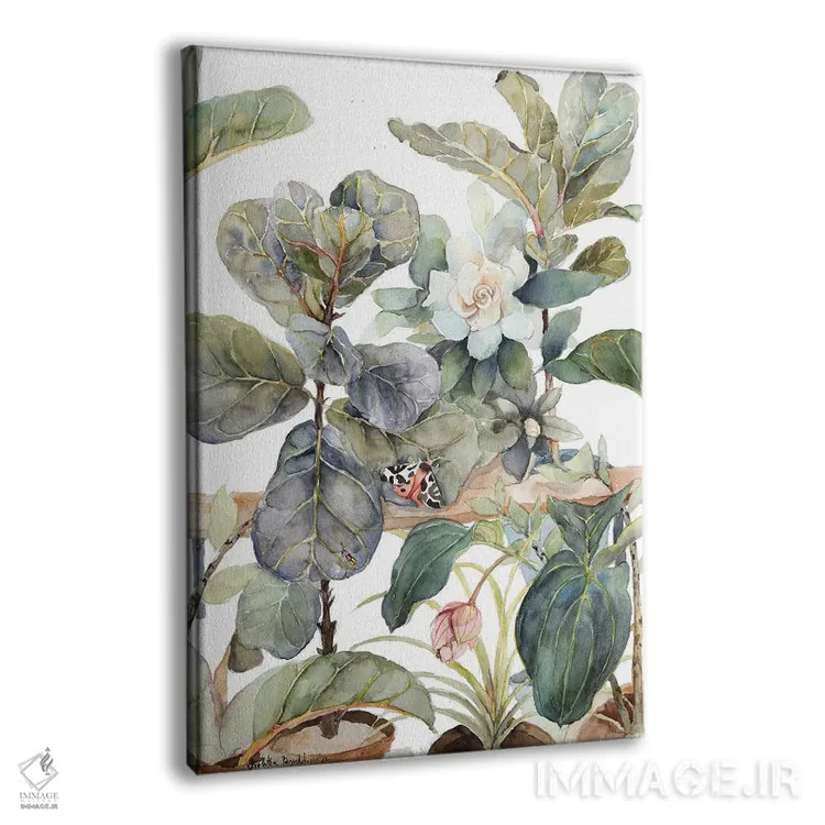 تابلو مدرن Medinilla, Gardenia, Indoor Plants, Illustration, Shades… اثر ویولتا بویادزشیوا - نمای پرسپکتیو محصول
