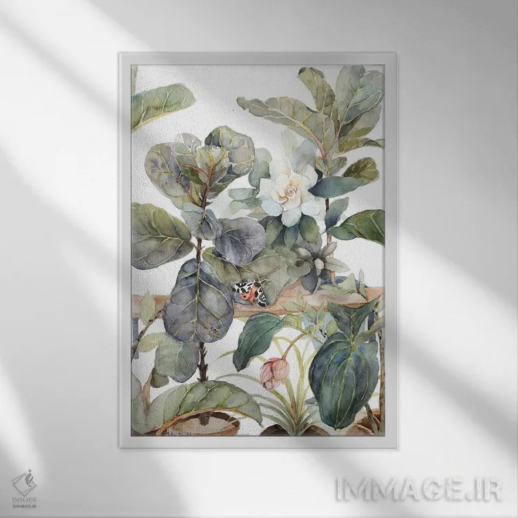 تابلو مدرن Medinilla, Gardenia, Indoor Plants, Illustration, Shades… اثر ویولتا بویادزشیوا - نمای قابدار سفید