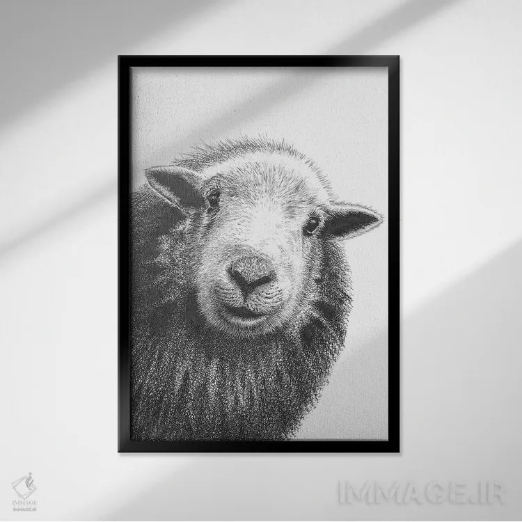 تابلو دکوراتیو گوسفند هردویک ۲ اثر ویکی هانت - نمای قابدار مشکی