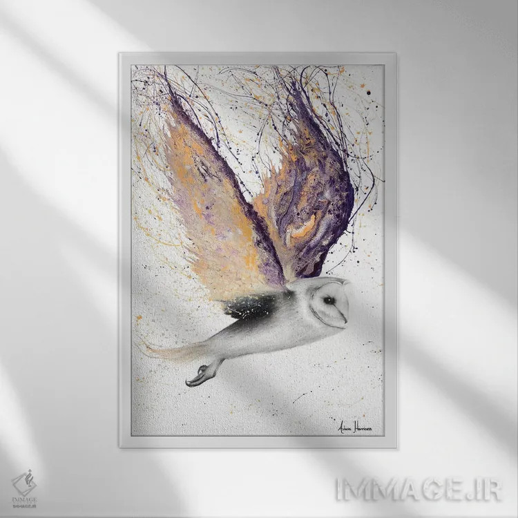 تابلو دکوراتیو جغد بال اپالی اثر اشوین هریسون - نمای قابدار سفید