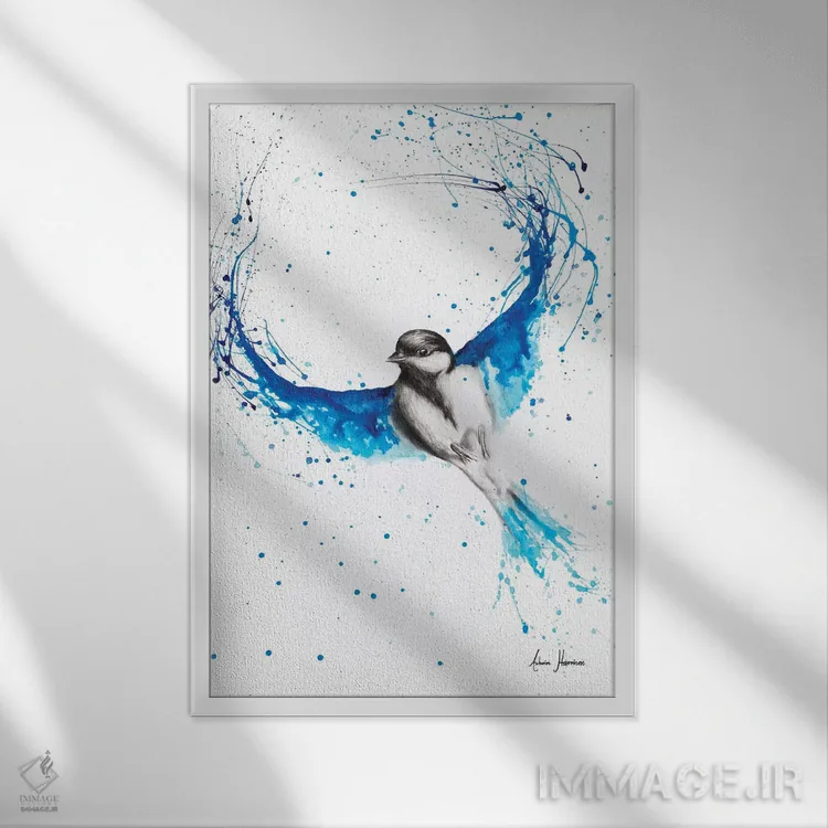 تابلو دکوراتیو پرنده باله اثر اشوین هریسون - نمای قابدار سفید