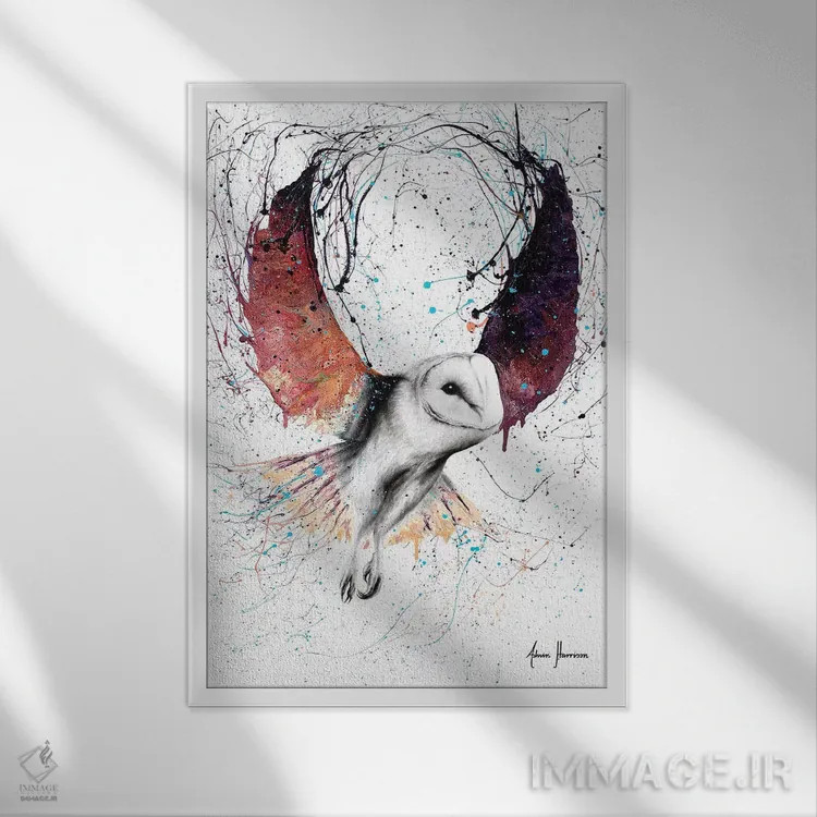 تابلو دکوراتیو جغد نیمه شب اثر اشوین هریسون - نمای قابدار سفید