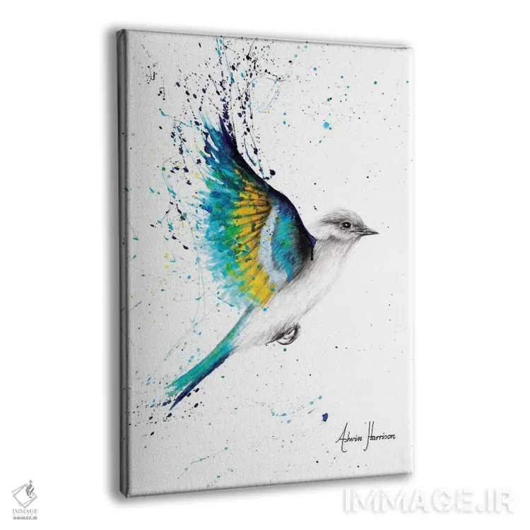تابلو دکوراتیو آزادی برای کاوش اثر اشوین هریسون - نمای پرسپکتیو محصول