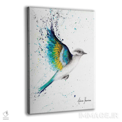 تابلو دکوراتیو آزادی برای کاوش اثر اشوین هریسون - نمای پرسپکتیو محصول