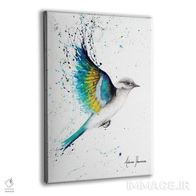 تابلو دکوراتیو آزادی برای کاوش اثر اشوین هریسون - نمای پرسپکتیو محصول