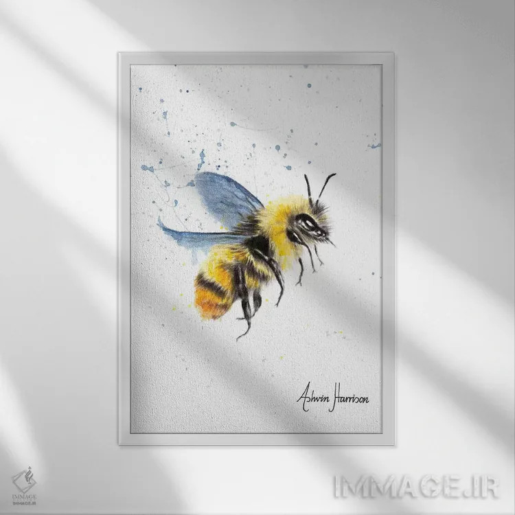 تابلو دکوراتیو زنبور خورشیدی اثر اشوین هریسون - نمای قابدار سفید
