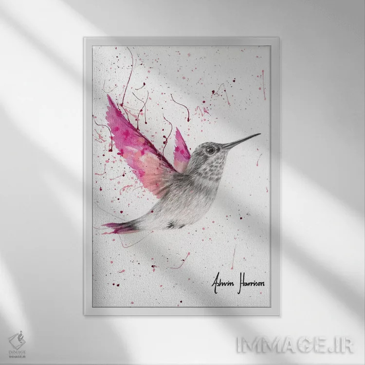 تابلو دکوراتیو پرنده گل رز سرخابی اثر اشوین هریسون - نمای قابدار سفید