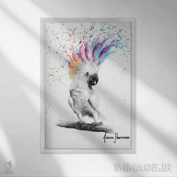تابلو دکوراتیو کاکاتو پانک اثر اشوین هریسون - نمای قابدار سفید