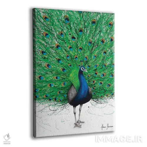 تابلو دکوراتیو طاووس جهنده اثر اشوین هریسون - نمای پرسپکتیو محصول