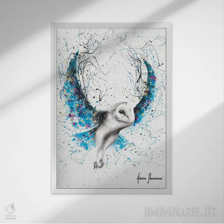 تابلو دکوراتیو جغد اسرارآمیز اثر اشوین هریسون - نمای قابدار سفید