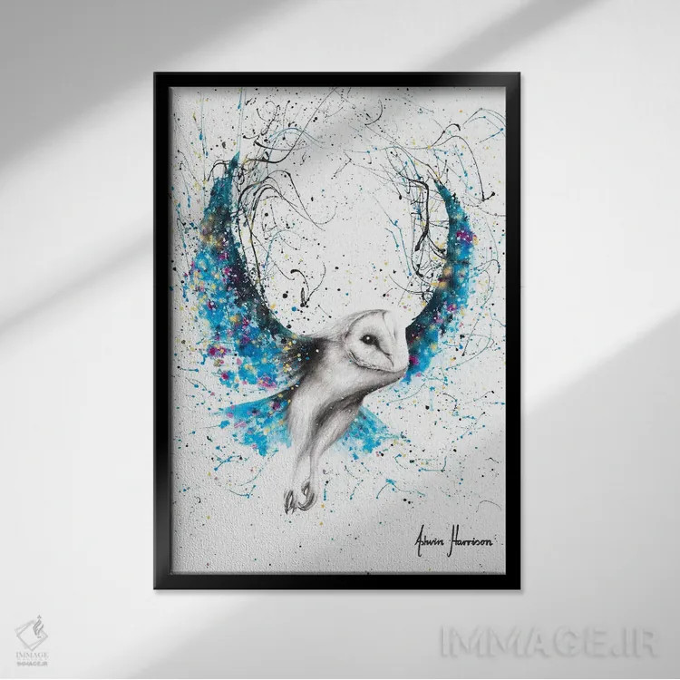 تابلو دکوراتیو جغد اسرارآمیز اثر اشوین هریسون - نمای قابدار مشکی