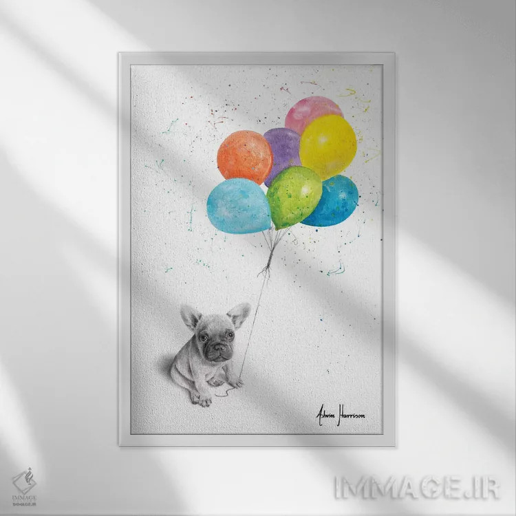تابلو دکوراتیو فرانچ کوچک و بادکنک ها اثر اشوین هریسون - نمای قابدار سفید