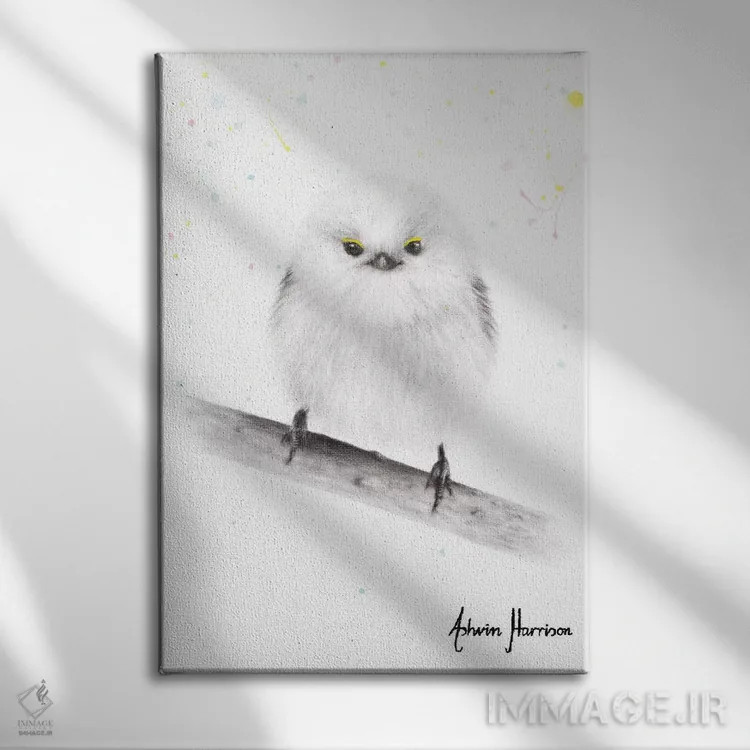 تابلو دکوراتیو نرم و شاد اثر اشوین هریسون - نمای روبهرو روی دیوار