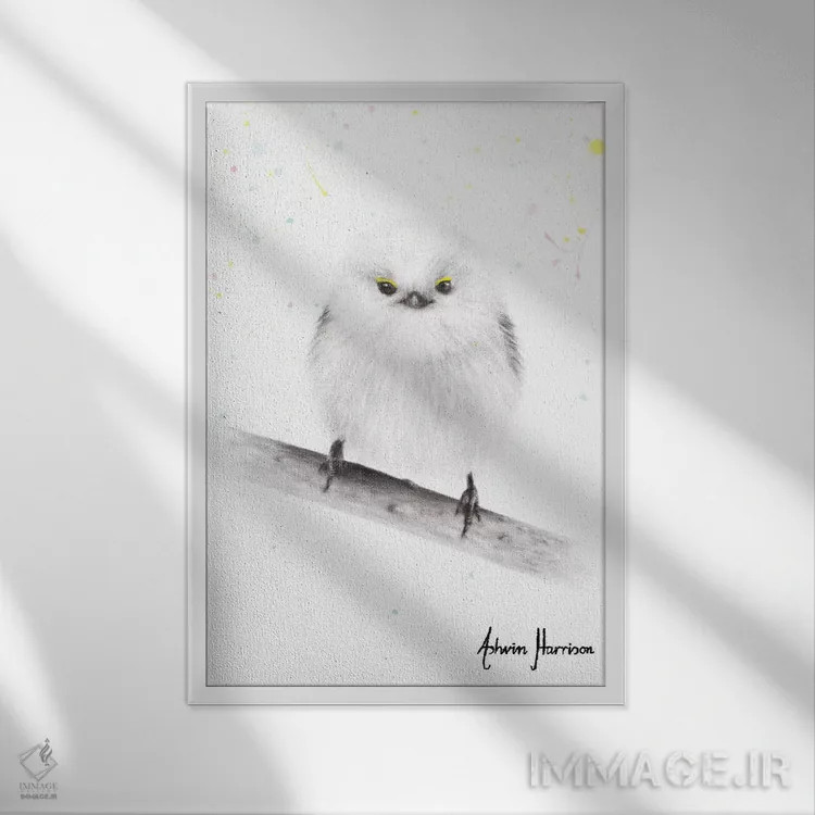 تابلو دکوراتیو نرم و شاد اثر اشوین هریسون - نمای قابدار سفید