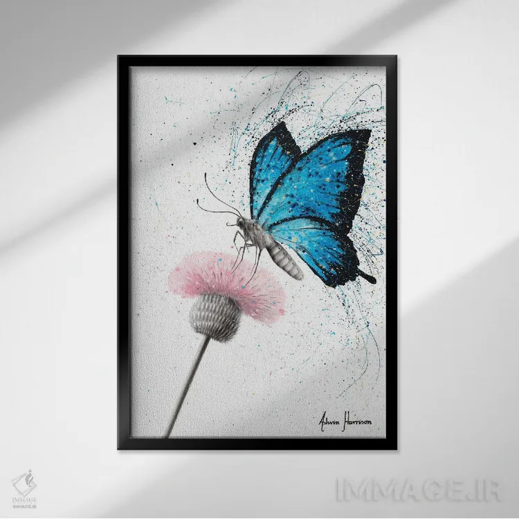 تابلو دکوراتیو پروانه شکری اثر اشوین هریسون - نمای قابدار مشکی