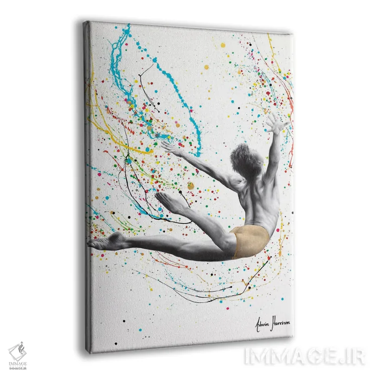 تابلو دکوراتیو پرشی بالاتر اثر اشوین هریسون - نمای پرسپکتیو محصول