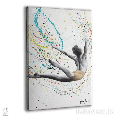 تابلو دکوراتیو پرشی بالاتر اثر اشوین هریسون - نمای پرسپکتیو محصول