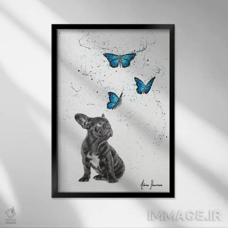 تابلو دکوراتیو خیال پردازی اثر اشوین هریسون - نمای قابدار مشکی
