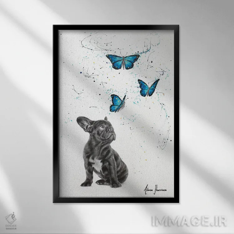 تابلو دکوراتیو خیال پردازی اثر اشوین هریسون - نمای قابدار مشکی