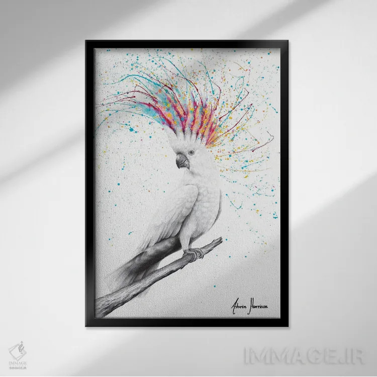 تابلو دکوراتیو کاکاتووی باحال اثر اشوین هریسون - نمای قابدار مشکی