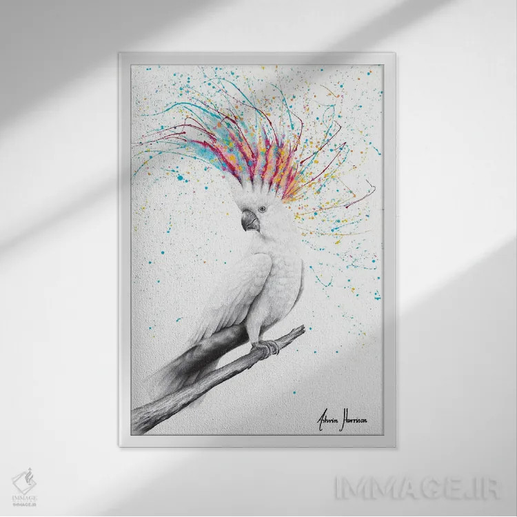 تابلو دکوراتیو کاکاتووی باحال اثر اشوین هریسون - نمای قابدار سفید