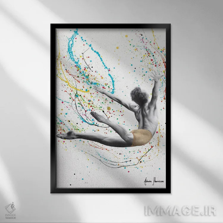 تابلو دکوراتیو پرشی بالاتر اثر اشوین هریسون - نمای قابدار مشکی