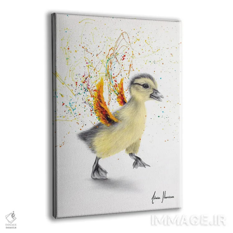 تابلو دکوراتیو اردک رقصان اثر اشوین هریسون - نمای پرسپکتیو محصول