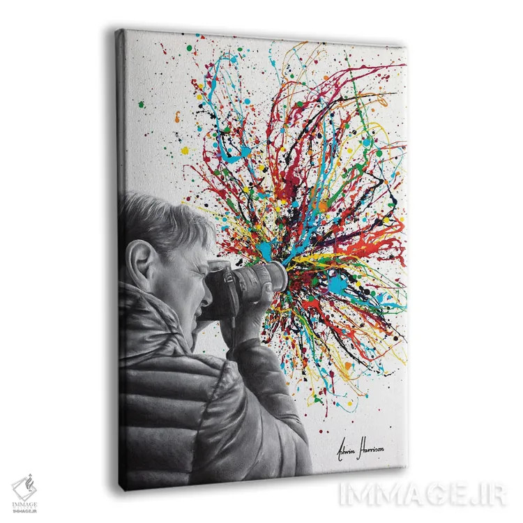 تابلو دکوراتیو احساس عکاسی اثر اشوین هریسون - نمای پرسپکتیو محصول