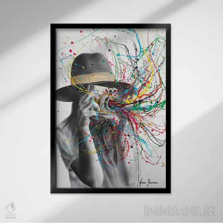 تابلو دکوراتیو عکاسی اثر اشوین هریسون - نمای قابدار مشکی