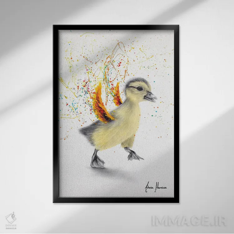 تابلو دکوراتیو اردک رقصان اثر اشوین هریسون - نمای قابدار مشکی