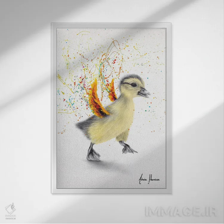 تابلو دکوراتیو اردک رقصان اثر اشوین هریسون - نمای قابدار سفید