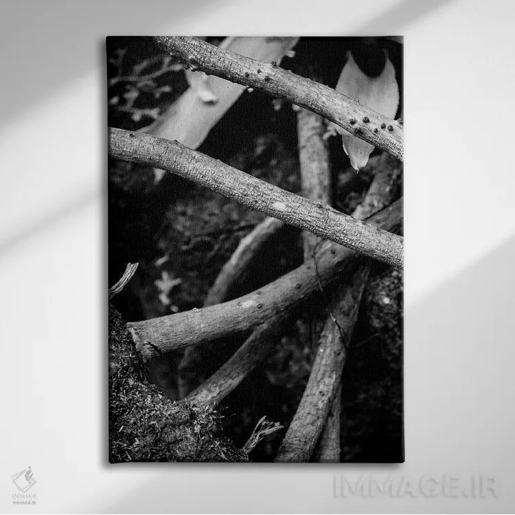 تابلو دکوراتیو طبیعت ۲۲ اثر الکساندر ونانسیو - نمای روبهرو روی دیوار