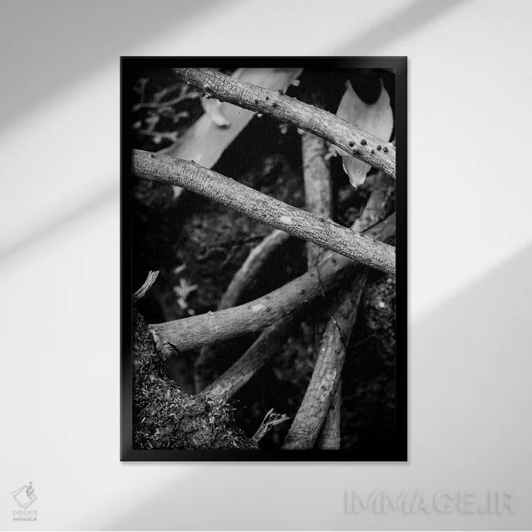 تابلو دکوراتیو طبیعت ۲۲ اثر الکساندر ونانسیو - نمای قابدار مشکی