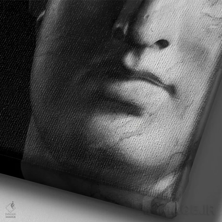 تابلو دکوراتیو ریمیکس یونانی ۱ اثر الکساندر ونانسیو - نمای نزدیک بافت بوم