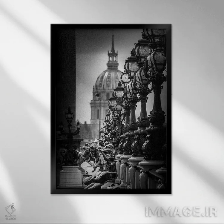 تابلو دکوراتیو جزئیات پل پاریس در سیاه و سفید اثر الکساندر ونانسیو - نمای قابدار مشکی